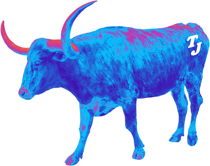 The Longhorn artwork